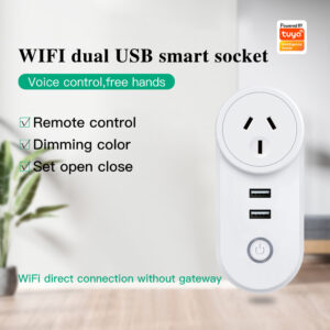 Tuya WIFI Smart Socket Dual USB Remote Control - 2 Pack