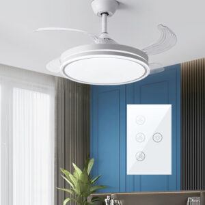 New Fans Lights Smart Switch